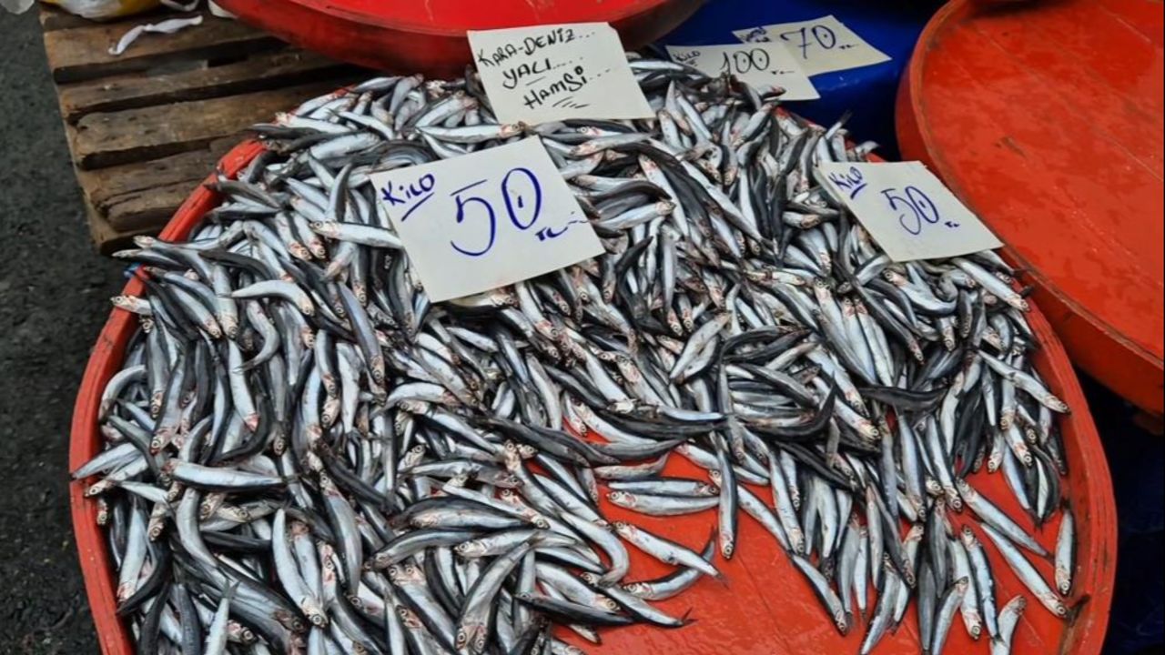 Tekirdağlılar hamsiye doyacak! Sigaradan ucuza satılıyor, fiyatı düşüyor da düşüyor