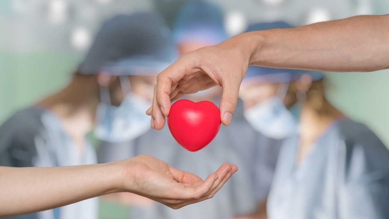 Bağış e-Devlet üzerinden yapılabiliyor! 30 binin üzerinde hasta organ nakli bekliyor