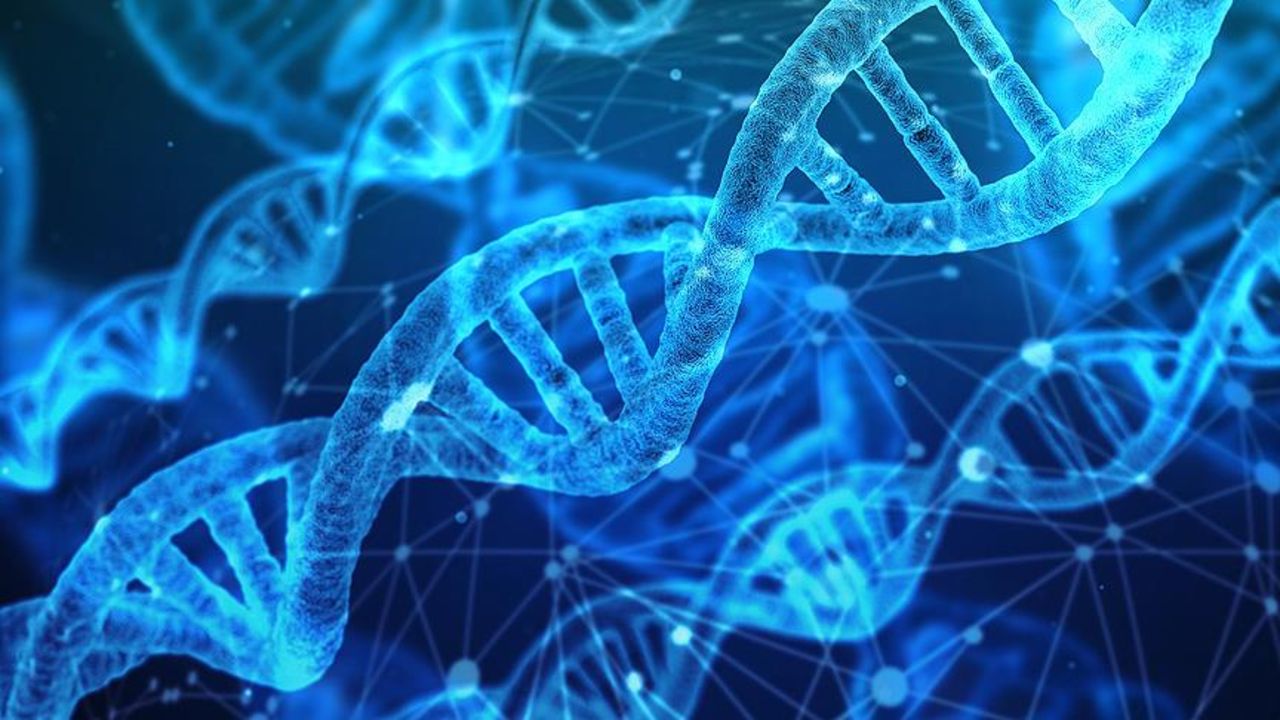 Cinayetleri aydınlatacak DNA devrimi: Bir örnekle yaş ve köken ortaya çıkıyor!