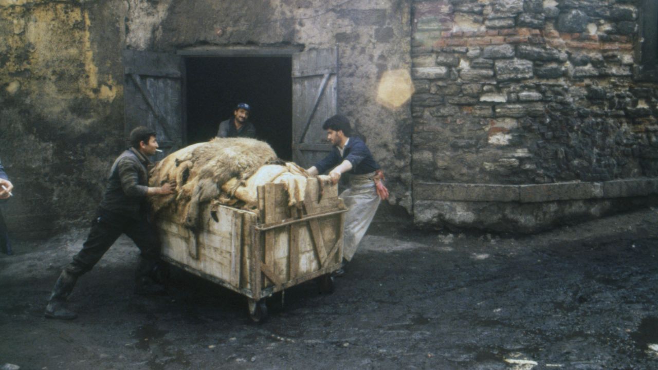 35 senelik İstanbul hikâyeleri! Yıldız Çelik’in karelerine online erişim