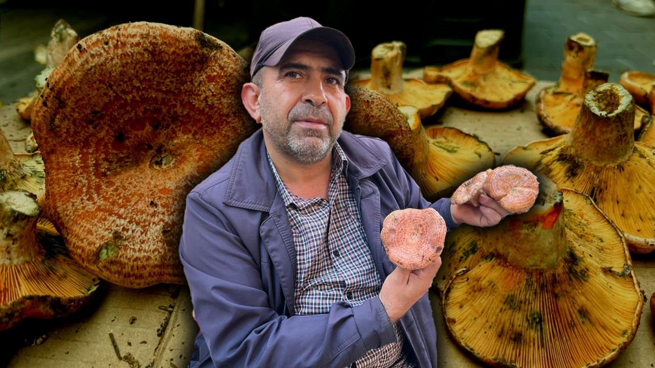 Et kadar değerli! Çıntar tezgahlarda yerini aldı, kilosu 500 lira