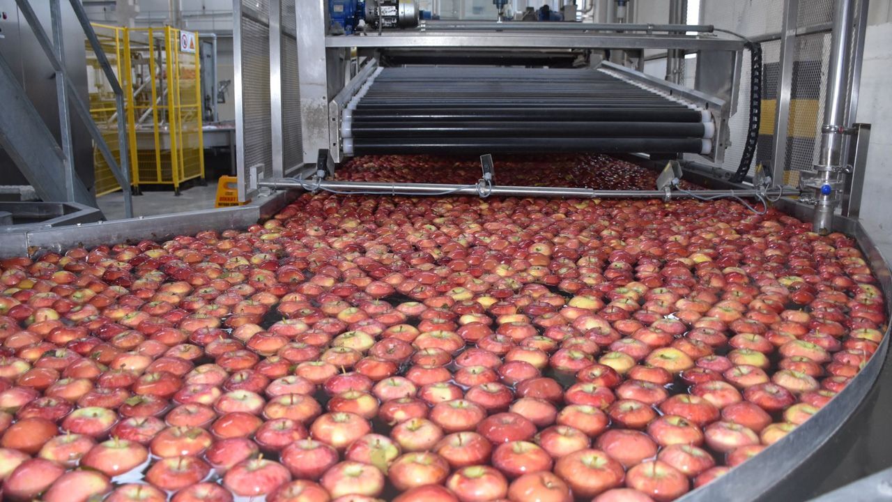 Karaman'dan Kenya'ya... Elmayla 25 ülkeye açıldı, hedef Avrupa pazarı