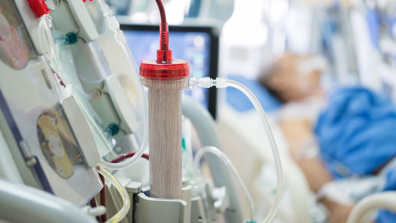 'Talasemi' hastalığında Türkiye'nin başarısı! Kök hücre naklinde Avrupa ile yarışıyoruz