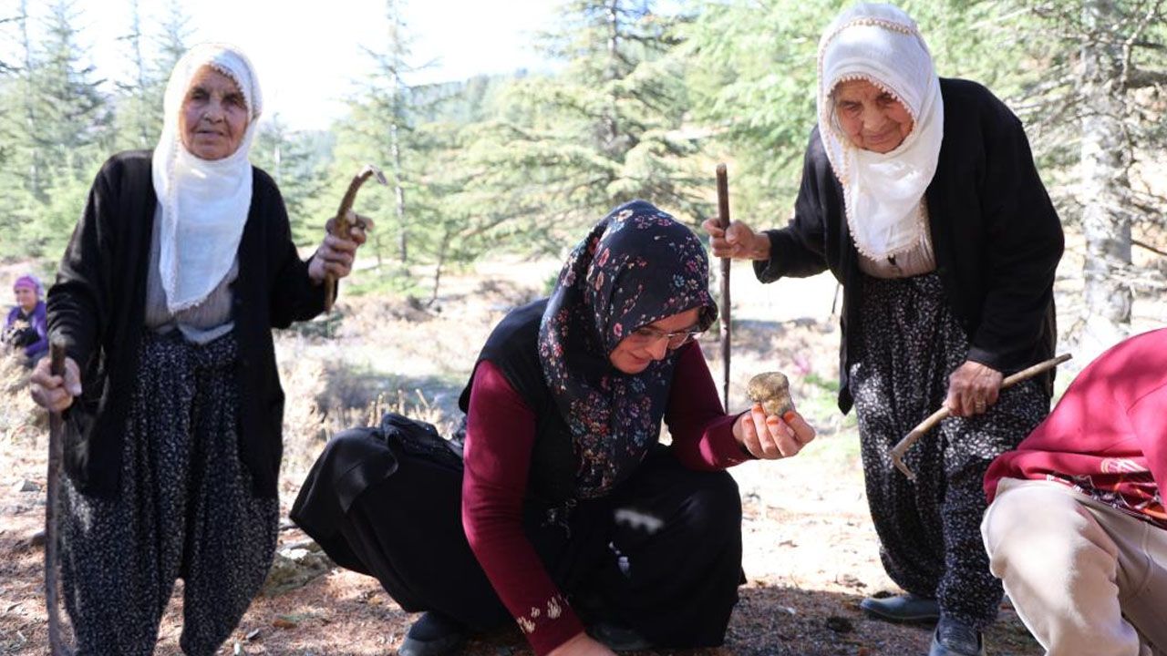 Japonya, Çin ve Güney Kore kapımıza dizildi! Kadınlar sabah ezanında toplamaya gidiyor