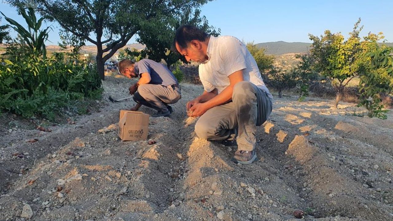 İlk defa denedi, başarılı oldu! 150 gram ürün elde etti