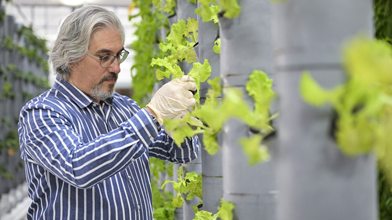 Ne bahçe var ne toprak! 40 metrekarelik alanda 750 bitkiyle geleceğe umut oldular