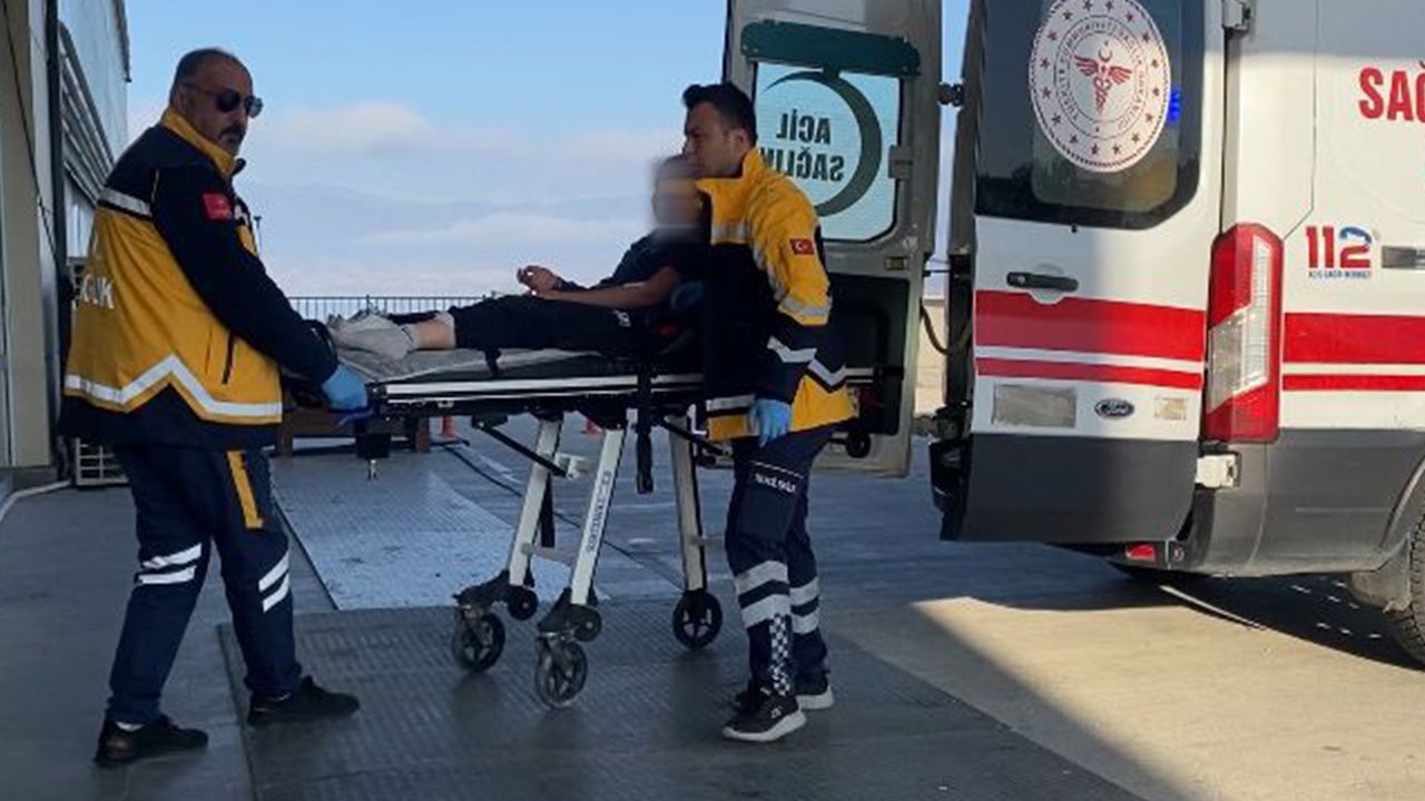 13 yaşındaki kız dehşeti yaşadı! Sokak köpekleri saldırdı, şimdi hastanede