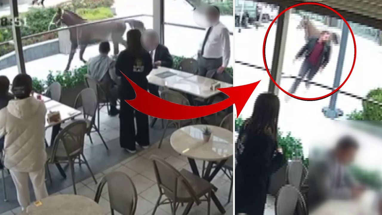 Bu kez başıboş köpek değil at koşturdu! İstanbul'un göbeğinde şaşkına çeviren olay