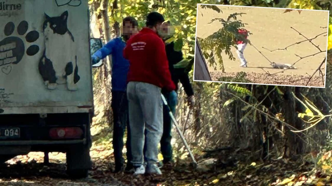 Köpeğe eziyet görüntüsü sonrası gözaltı! Belediye personeli soruşturma altında