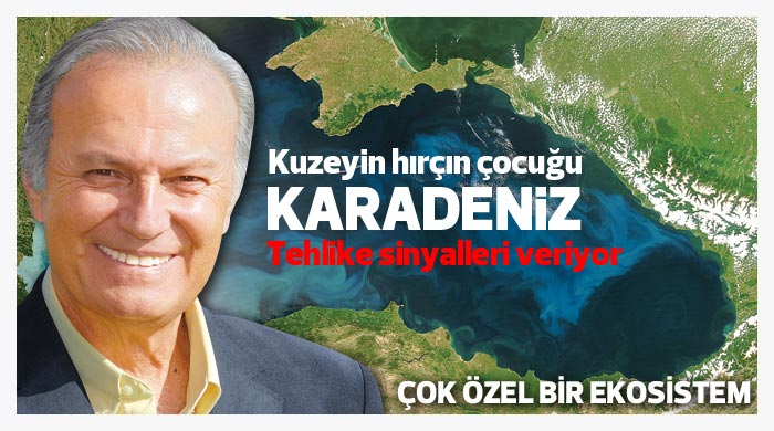 Karadeniz tehlike sinyalleri veriyor  görseli