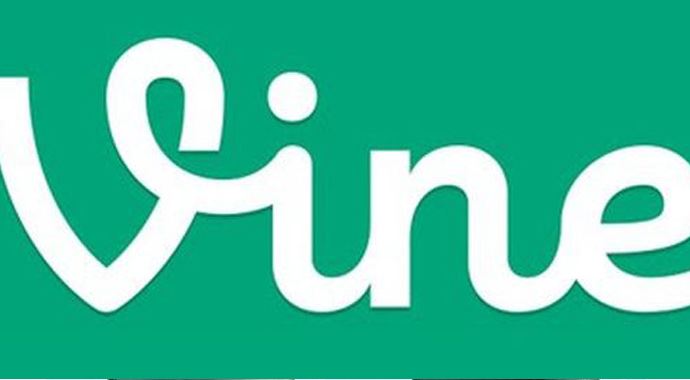 Vine Windows Phone'da görseli