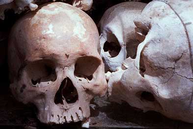 Avusturya'da bir evde 56 kafatası bulundu görseli