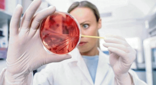 Hepatit B'ye karşı ilk yerli aşı görseli