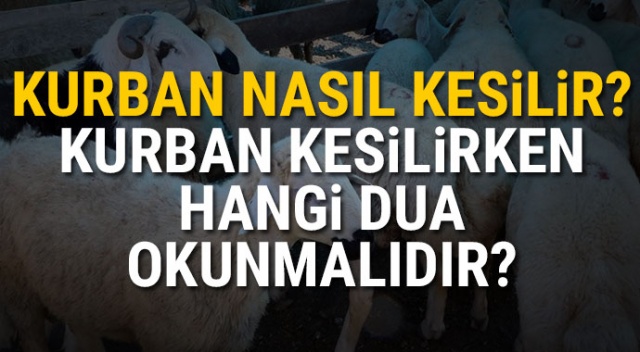 Kurban Keserken Okunacak Dualar | Kurban kesilirken hangi dua okunur? görseli