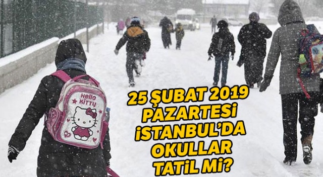 İstanbul'da yarın okullar tatil mi? 25 Şubat İstanbul Kar tatili mi? (Son dakika kar tatili haberleri) görseli