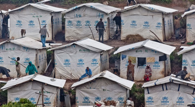 Hollanda'daki mülteci kamplarında bin 600 çocuk kayboldu görseli