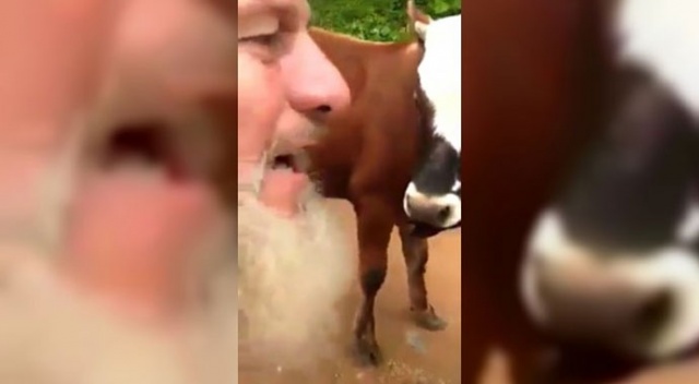 Tosunu eğittiği için fenomen oldu, gazetecilerden para istedi görseli