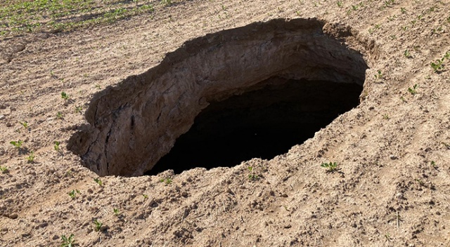 Tarlasına gitti, hayatının şokunu yaşadı görseli