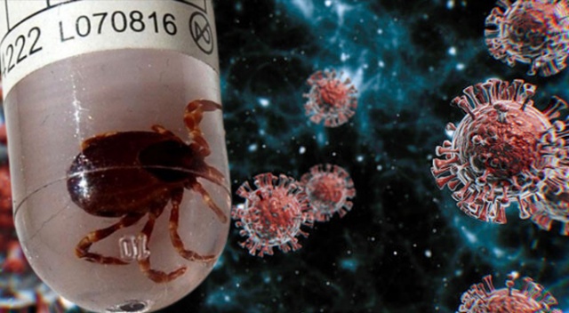 Türkiye'de ilk: Hem koronavirüse hem KKKA'ya yakalandı görseli