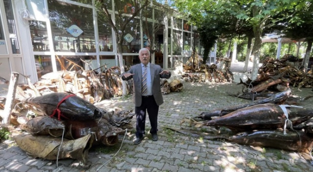 Türkiye Deniz Canlıları Müzesi için destek istedi görseli