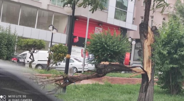 Şiddetli fırtına hayatı olumsuz etkiledi görseli