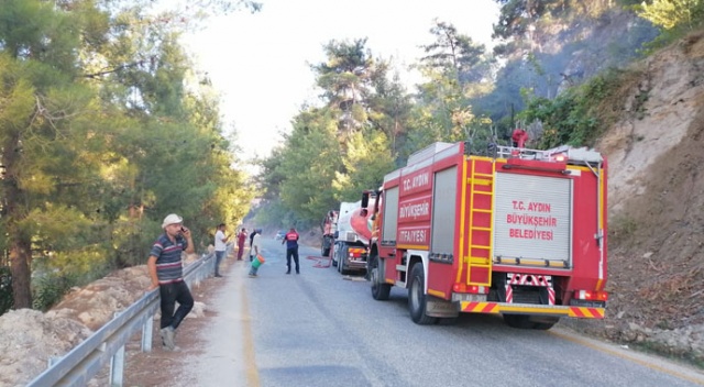 Aydın'da ağaçlık alanda başlayan yangın kontrol altına alındı görseli