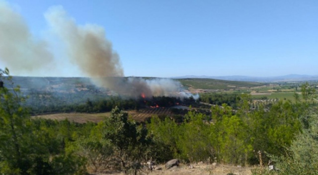 İzmir'de 1 günde 3 yangın çıktı görseli