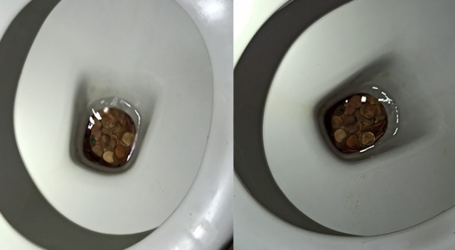 Polisi gören tarihi eser kaçakçısı karı-koca, tarihi eserleri klozete attı görseli