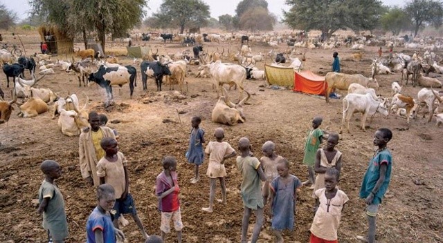 BM açıkladı: Güney Sudan'da 100 binden fazla kişi açlık kriziyle karşı karşıya görseli