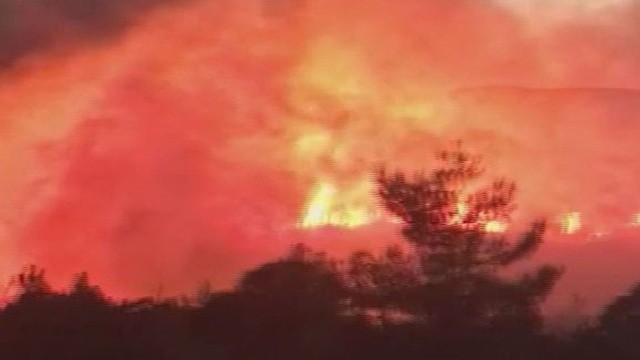 İzmir'de ormanlık alanda yangın çıktı görseli
