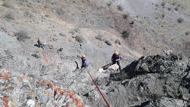 Kayalıkta mahsur kalan koyunlar, halatla kurtarıldı görseli