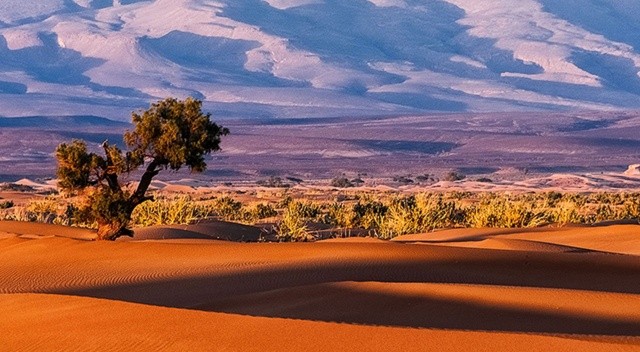 Afrika'da iklim değişikliği, 2050'ye kadar milyonlarca kişiyi yerinden edebilir görseli
