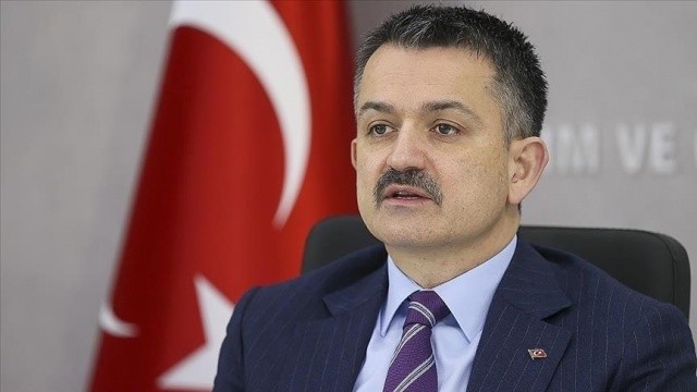 Bakan Pakdemirli, yangının son durumunu açıkladı görseli