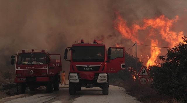Hatay'da orman yangını çıktı görseli