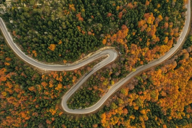 Uludağ'da sonbahar güzelliği görseli