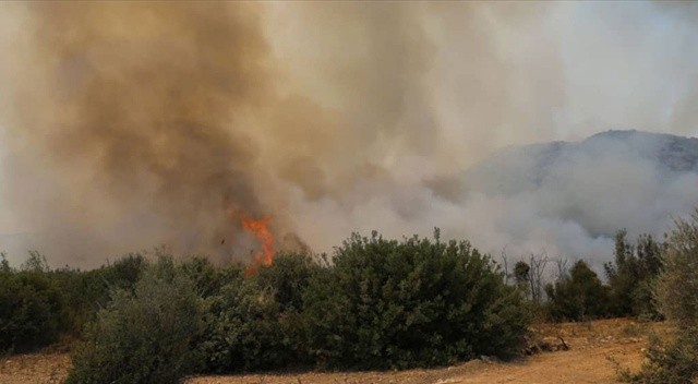 Adana'da çıkan orman yangını kontrol altına alındı görseli