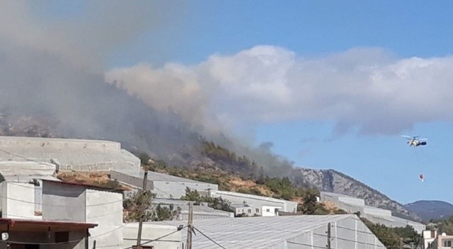 Mersin'in Bozyazı ilçesinde orman yangını görseli