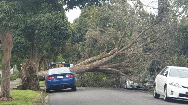 Meteoroloji 5 il için uyardı: Fırtına çatıları uçurabilir görseli