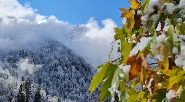 Rize'nin yüksek kesimlerinde kar yağışı etkili oldu görseli