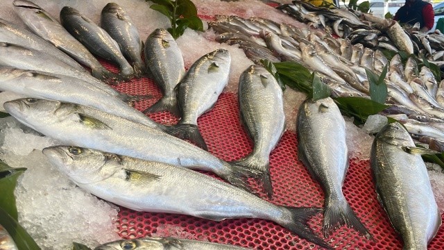 Tezgahlarda palamut azaldı, hamsi bollaştı görseli
