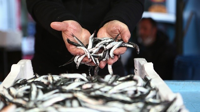 Trabzon'da 20 ton hamsiye el konuldu görseli