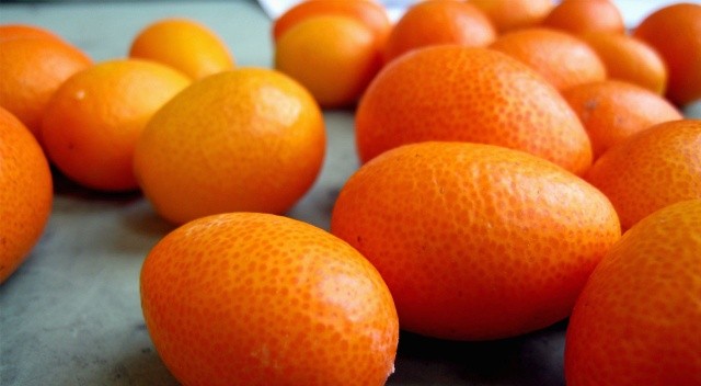 C vitamini deposu kamkat hastalıklardan koruyor görseli