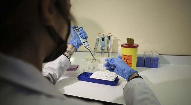 Çalışmalar başladı: SMA taşıyıcılığı bu laboratuvarda belirlenecek görseli