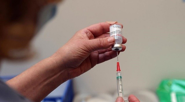 Dünyanın ilk bitki bazlı Kovid-19 aşısı Kanada'da üretildi görseli