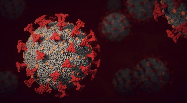 Heyecanlandıran araştırma: Omicron varyantı T hücrelerini aşmakta zorlanıyor görseli