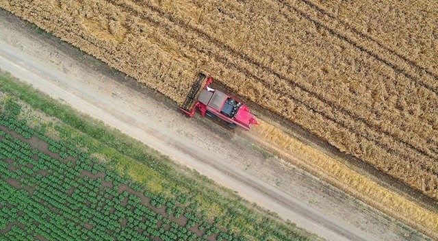 Tarım sezonunda yağışlar azaldı görseli
