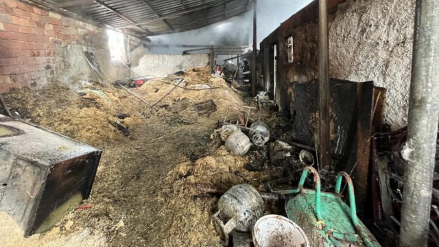 Ağılda çıkan yangın 80 hayvanı telef etti: 800 bin liralık zarar var görseli