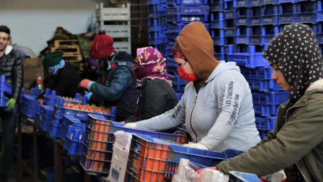 Antalya'da sebze halini soğuk hava vurdu: Yüzde 200 zam geldi görseli