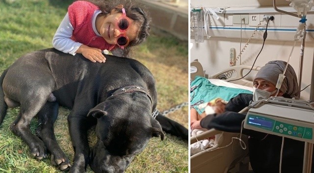 Doktoru açıkladı: Minik Asiye haftaya taburcu edilecek görseli