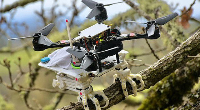 Kuş gibi hareket edebilen robotik drone görseli